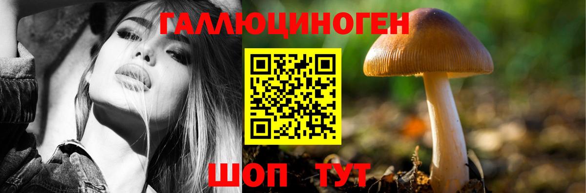 Галлюциногенные грибы MAGIC MUSHROOMS  Галлюциногенные грибы GOLDEN TEACHER  Вход с VPN  Вичуга 